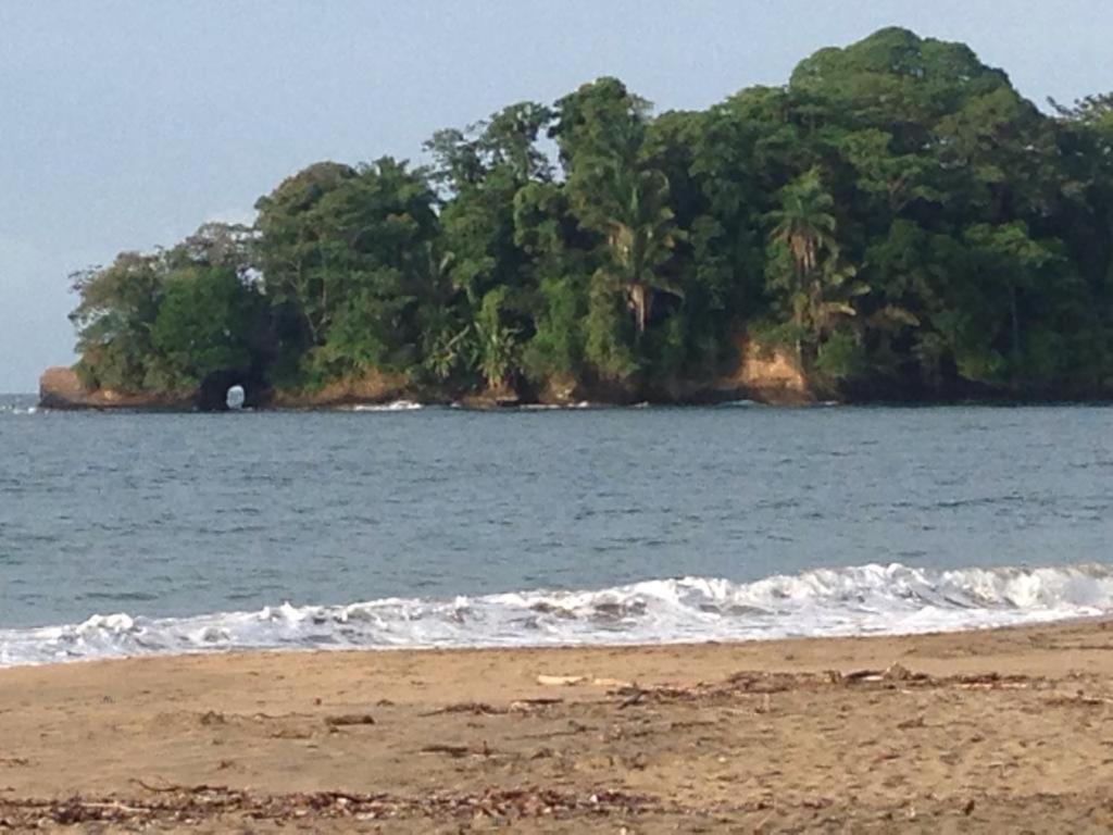 Hotel One Love Puerto Viejo Puerto Viejo de Talamanca Ngoại thất bức ảnh