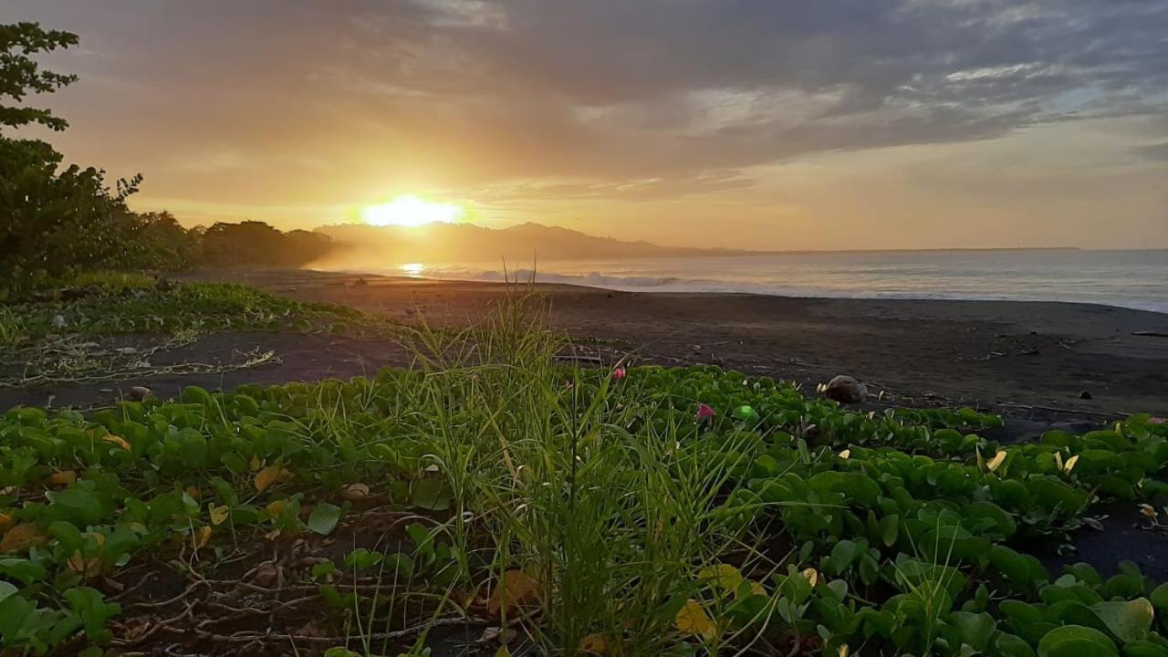 Hotel One Love Puerto Viejo Puerto Viejo de Talamanca Ngoại thất bức ảnh
