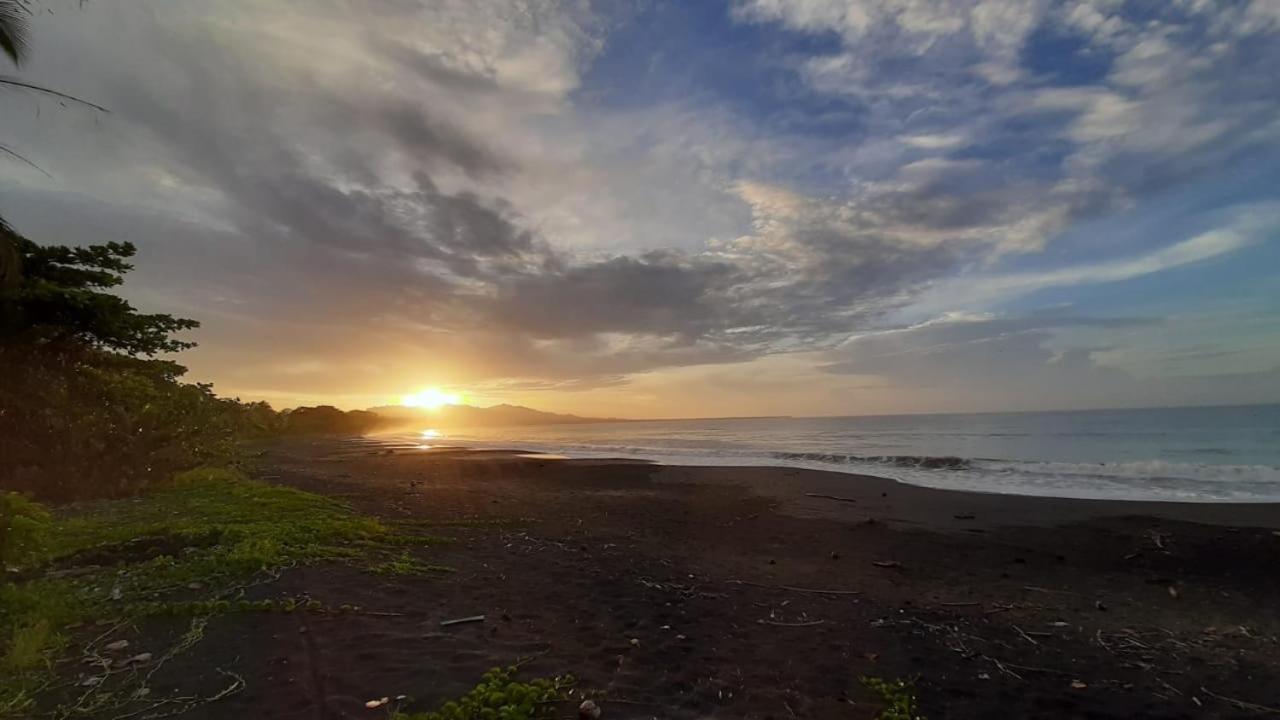 Hotel One Love Puerto Viejo Puerto Viejo de Talamanca Ngoại thất bức ảnh