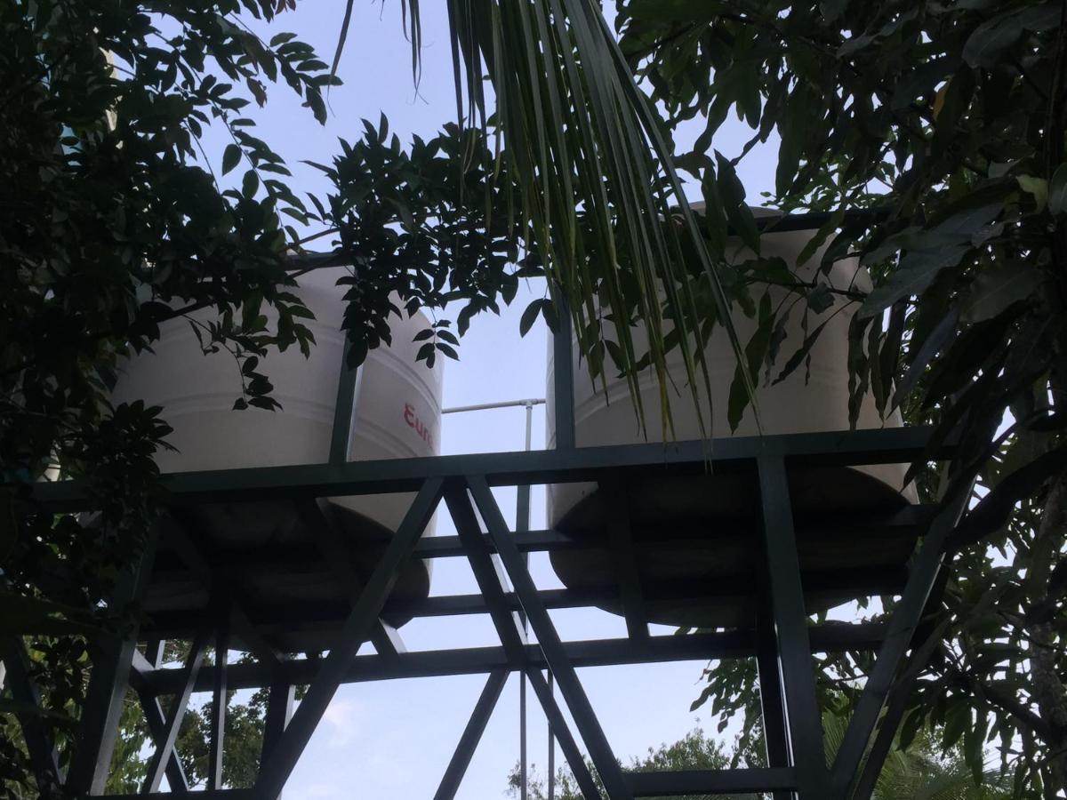 Hotel One Love Puerto Viejo Puerto Viejo de Talamanca Ngoại thất bức ảnh