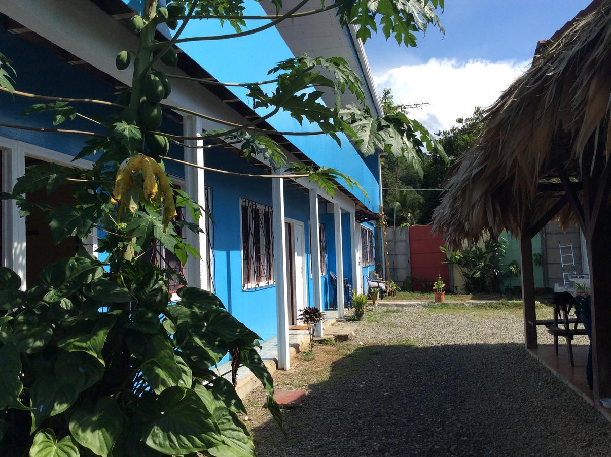 Hotel One Love Puerto Viejo Puerto Viejo de Talamanca Ngoại thất bức ảnh