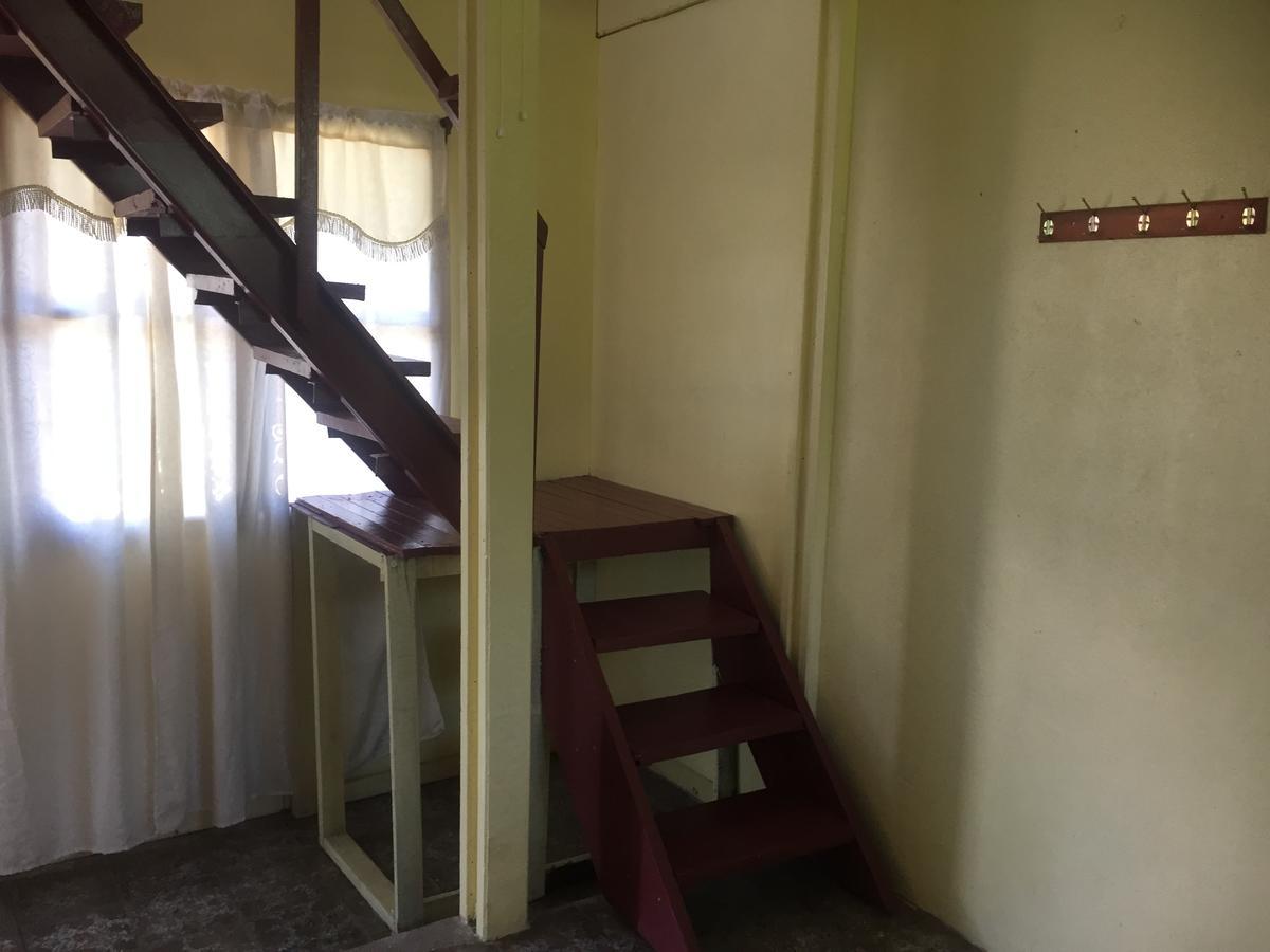 Hotel One Love Puerto Viejo Puerto Viejo de Talamanca Ngoại thất bức ảnh